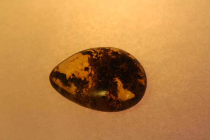 Bernstein 45x34x15 mm Amber, poliert #8062