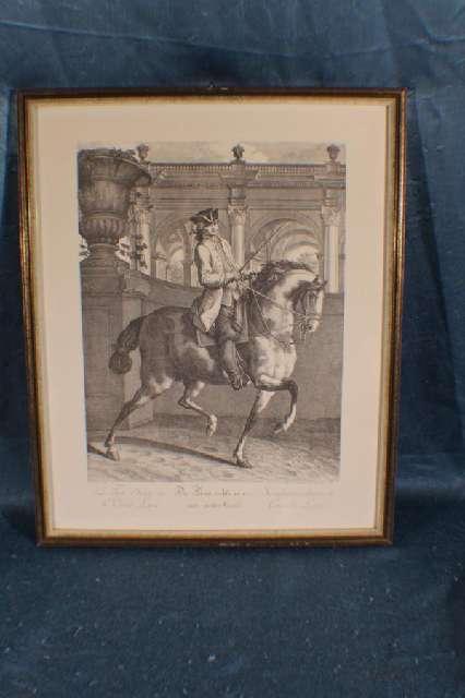 Bild, Pferde Dressur, Stahlstich, Joh. El. Ridinger, 19. Jh. # 4119