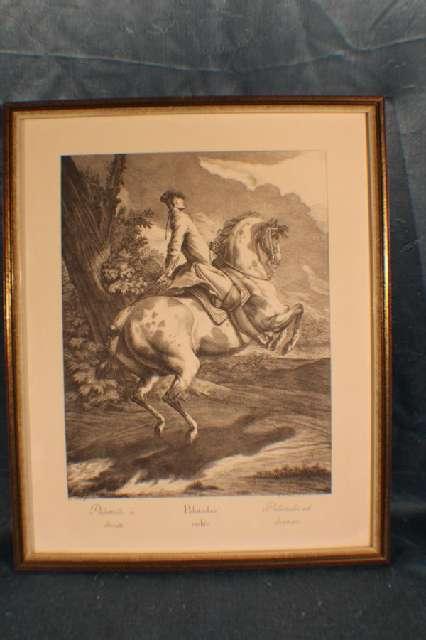 Bild, Pferde Dressur, Stahlstich, Joh. El. Ridinger, 19. Jh. # 4120